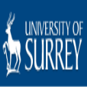 Surrey EU undergraduate financial aid in UK